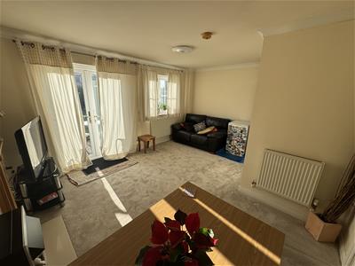 Picture 7